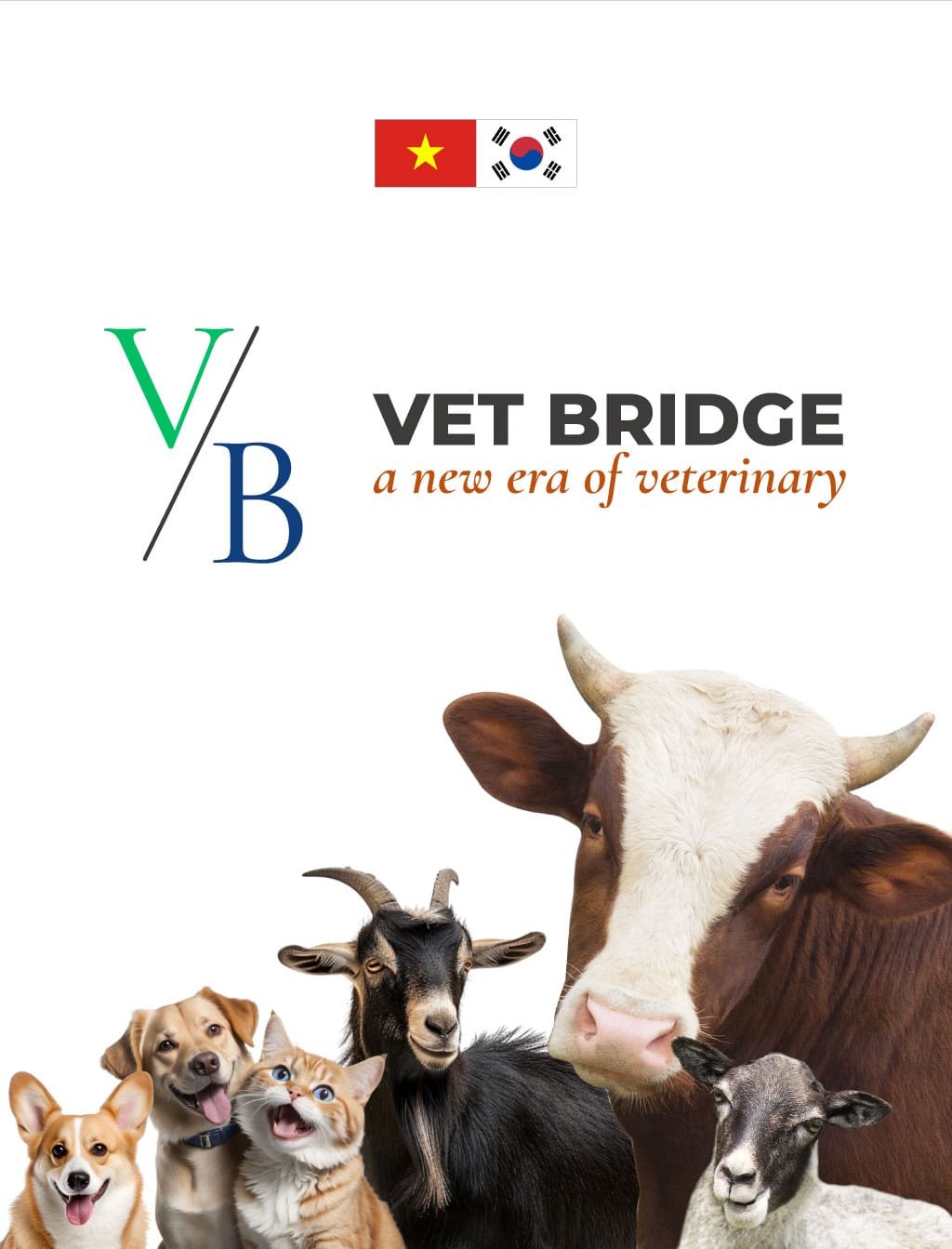 giới thiệu về Vet bridge